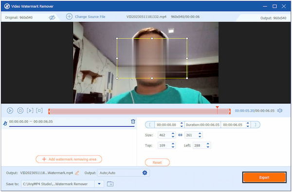 Export The Blurred Face Video