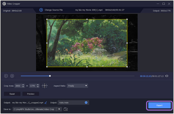 AnyMP4 Video Cropper Export
