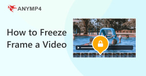 How to Freeze Frame a Video