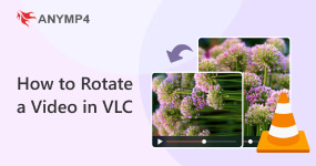 How to Rotate A Video in VLC