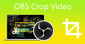 OBS Crop Video