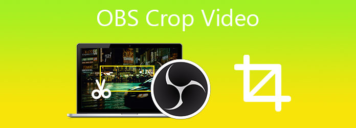 OBS Crop Video