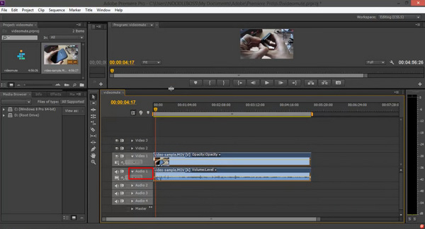 Remove Audio Premiere Pro