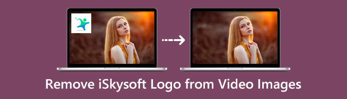 Remove iSkysoft Logo from Video Images