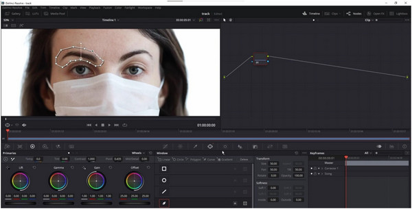 Davinci Resolve Color Section