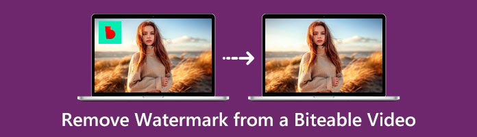 Remove Watermark from A Biteable Video