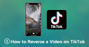 Reverse a Video on TikTok