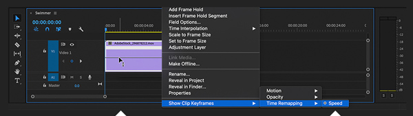 Premiere Pro Slow Down Video Speed option