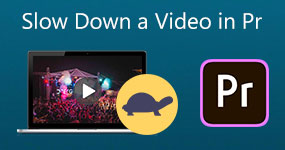 Slow Down A Video in Premiere Pro