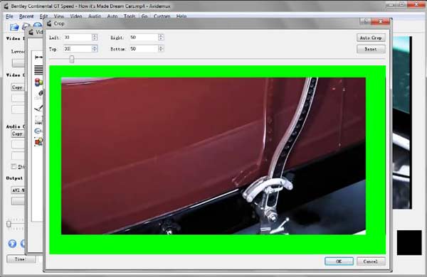 Avidemux Video Crop Windows