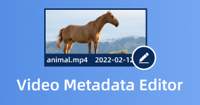 Video Metadata Editor