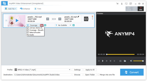 Background Audio Setting