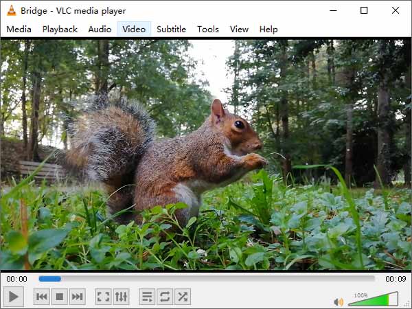 Vlc Media Palyer